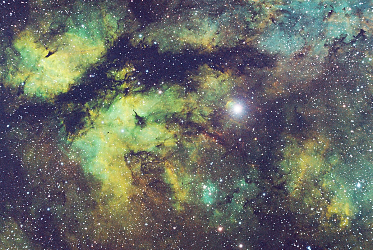 Sadr Region — The Alligator Nebula