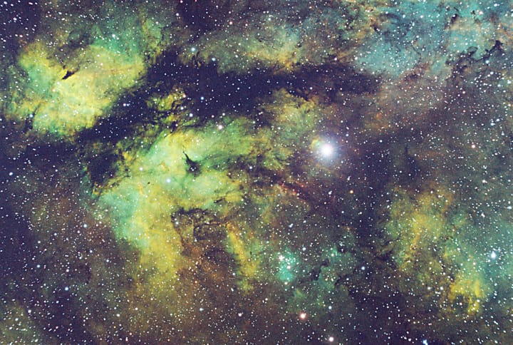 Sadr Region — The Alligator Nebula